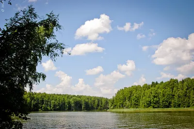 Озеро Лесное Сергиев Посад: место величественных фотографий