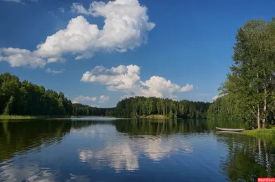 Фотк озера лесного Сергиев Посад