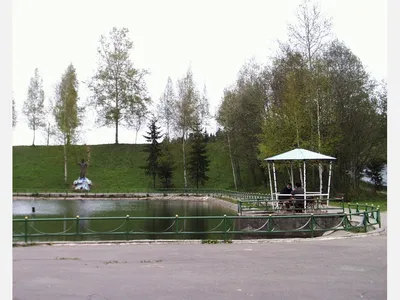 Обои на телефон - озеро лесное Сергиев Посад