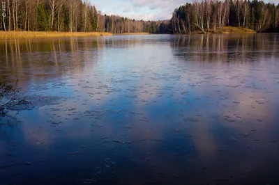 Изображения озера Лесное Сергиев Посад в формате JPG для скачивания