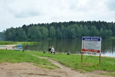 Арт озера лесного Сергиев Посад