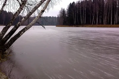 HD фото озера лесного Сергиев Посад