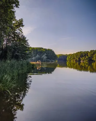 Свежий воздух и красивая природа Лиманского озера