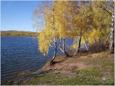 Фотография Озера Линево: слияние неба и воды