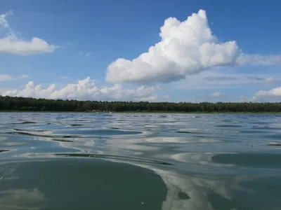 Закат на Озере Линево: волшебное мгновение на фотографии
