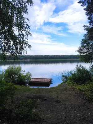 Фотография Озера Линево: пленительное словно картина