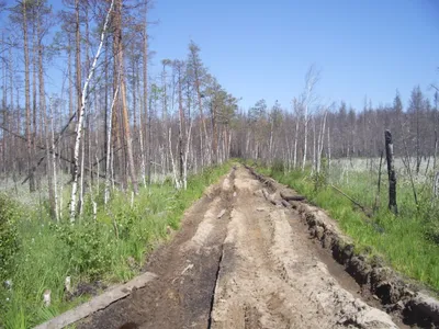 Фото Озера Линево для фона экрана