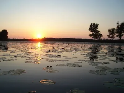 Бесплатные фоны Озера нобель - загрузите красивые картинки в 4K