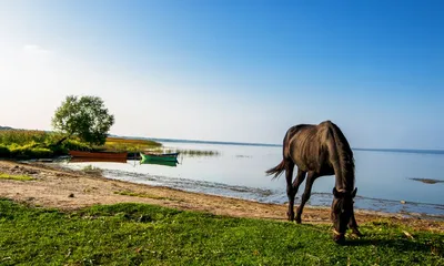 Озеро Плещеево: сокровищница красоты на фотографиях