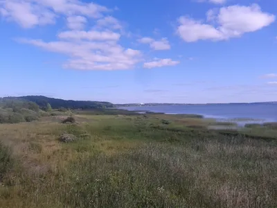 Золотые отражения на поверхности Озера плещеево