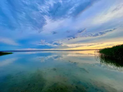 Рай для птиц: Озеро плещеево