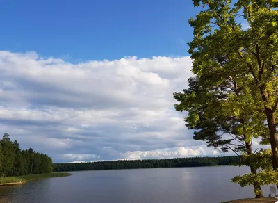 Озеро Плисса: самые красивые фотографии бесплатно