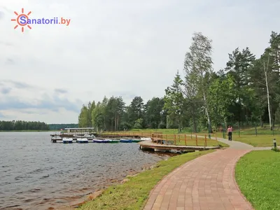 Озеро Плисса в фотографиях: переплетение цветов и воды