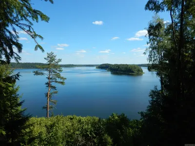 Природное великолепие озера Сапшо - бесплатные фото в высоком разрешении