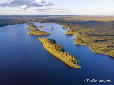 Озеро Сапшо: красота природы в полном разрешении 4K
