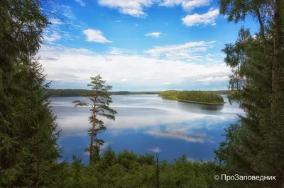Озеро Сапшо в объективе фотокамеры: прекрасные кадры