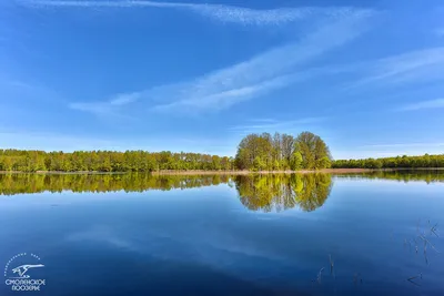 Фотография озера Сапшо: природа во всей красе