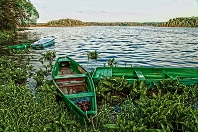Рисунки озера Сапшо: насладитесь шедеврами в HD