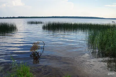 Новые изображения озера Селява для загрузки