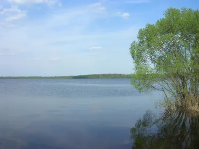 Величественное Озеро Селява: фото, достойные внимания