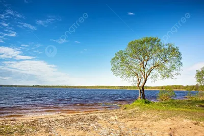 Великолепный уголок природы: Озеро Селява на фото