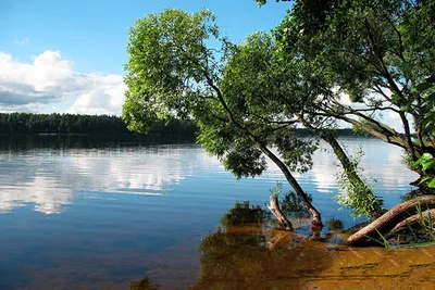 Бесплатные фоны с пейзажами озера Селява на выбор