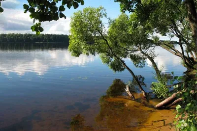 Удивительные фотографии природы озера Селява в Full HD