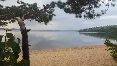 Загадочные обои озера Селява на мак