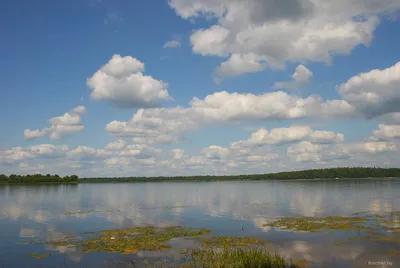 Основополагающая красота: Озеро Селява и его окрестности
