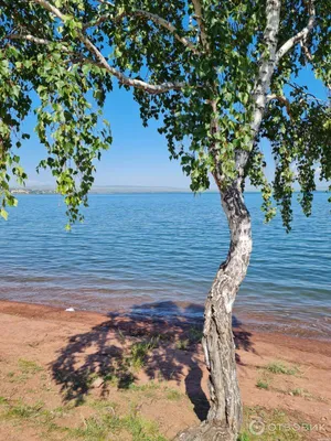 Загадочная глубина Озера шира: тайны водной царевны