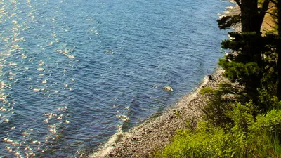 Прикоснитесь к природе: запечатленные моменты Озера Сладкого