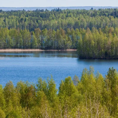 Красота природы: уникальные фотографии Озера Сладкого