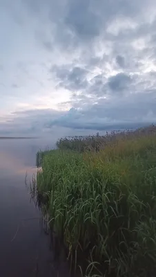 Озеро Суходольское в объективе фотокамеры: воплощение мирного края