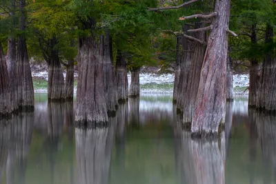 Удивительные картины озера Сукко для бесплатной загрузки
