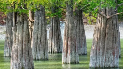 Роскошные фотографии озера Сукко для вашего творчества