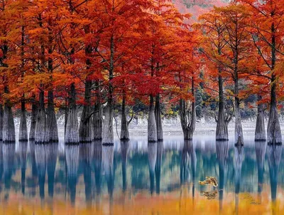 Удивительный пейзаж озера Сукко с изумительными отражениями на фото