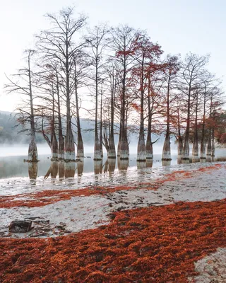 Уникальная красота природы на фото озера Сукко