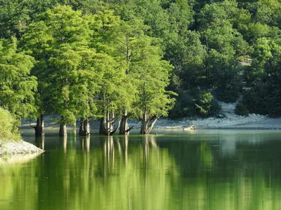 Погрузитесь в мир чистоты: красивые фото озера Сукко
