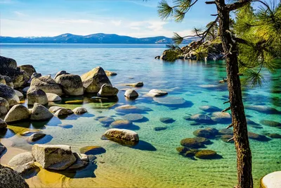 Бесплатные фото Озера Тахо: скачать в высоком разрешении 