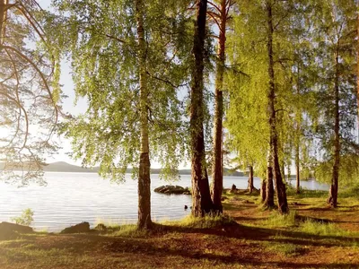 Изумительные фото Озера Таватуй: погрузитесь в его мистику