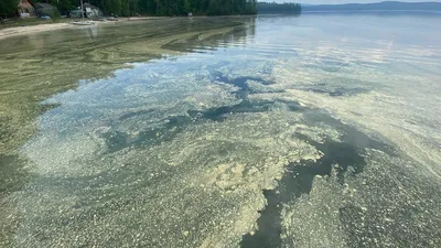 Кристально чистые воды Озера Тургояк: фото невероятной красоты