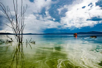 Фото Озеро уткуль с прекрасными пейзажами