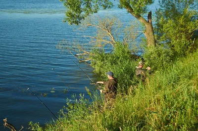 Изображения Озера Уткуль: Природные чудеса в формате Full HD