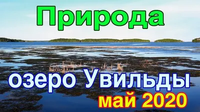 Full HD фотография с озером Увильды в хорошем качестве