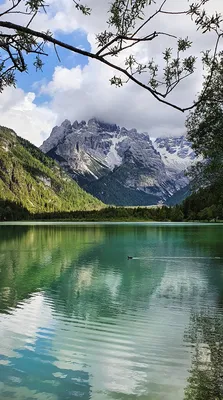 Картинка озера в горах в формате webp, воплощающая природную гармонию