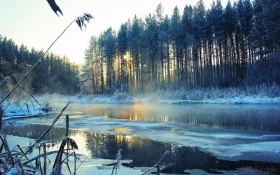 Красота природы: фото озера с великолепным видом