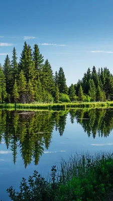 Живописные прогулки: фото озера, окруженного пешеходными тропами