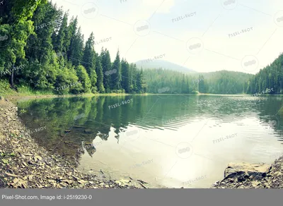 Фото озера в лесу в HD качестве