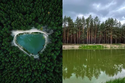 Фотка озера в лесу в хорошем качестве