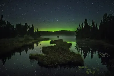 Фотография озера в лесу для обоев на телефон